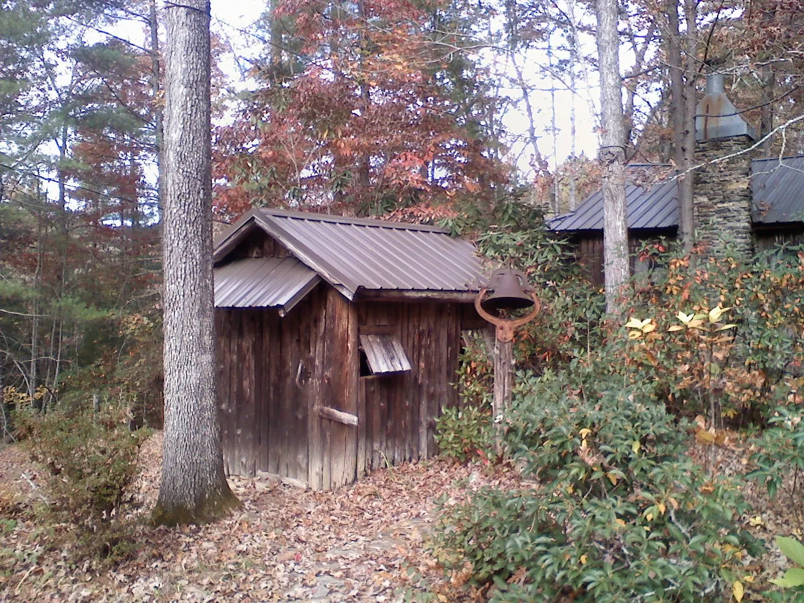 Small metal roof on a rough sawn shed in the woods in Vonore